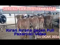 Lagu AFYON SANDIKLI CANLI HAYVAN PAZARI 11 OCAK 2026 YENİ - FULL PAZARLIKLI VİDEO 