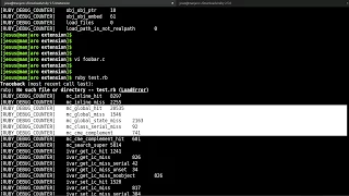 Ruby Interpreter Research