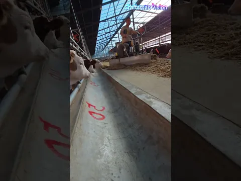 Special auxiliary breeding device for cattle farms — the electric feed leveling machine