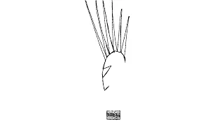 TURK 2ALBI HALFOT قلبى هلفوت Visualiser Prod Ismail Nosrat Dahab 