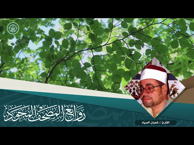 ⁣القارئ | شعبان الصياد