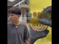Download Lagu Kalian punya temn kalau gbut gini juga ga sih, Anknya tu suka nendang nendangin batu