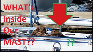 Ep 8 First Solo Trip and Docking Disaster