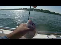 Fishing Aboard The Sound Bound Star - Huge Porgys