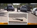 Man attacked with meat cleaver during suspected NYC road rage incident