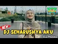 Download Lagu DJ SEHARUSNYA AKU FULL BASS TERBARU