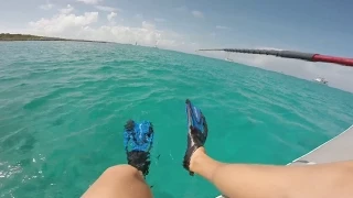 SHARK ENCOUNTER SWIMMING