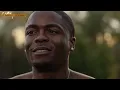 My Boy Arlo – Human Design Album (Official Visualizer)