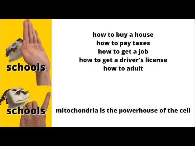 Mitochondria is the powerhouse of the cell rap