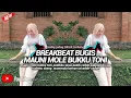 Download Lagu BREAKBEAT MAUNI MOLE BUKKU TONI DJ BUGIS VIRAL FULL BASS