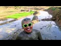 Download Lagu Mandi Lumpur Di Sawah