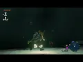 The Legend of Zelda Tears of the Kingdom - Minshi Grove Forest Depths Reach Uichcoke Lightroot
