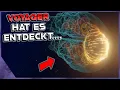 Download Lagu Voyager hat eine MYSTERIÖSE FEUERWAND AM RANDE DES SONNENSYSTEMS entdeckt!