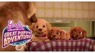 Meet Honey Rookie And DJ Barbie Her Sisters In A Great Puppy Adventure Barbie 