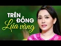 Download Lagu Trên Đồng Lúa Vàng - Ngọc Diệu Official 4K Music Video