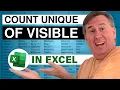 Excel Unique Count of Visible Rows - Episode 2399
