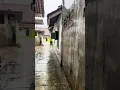 Lagu rainy atmosphere in the countryside #rain #shorts