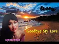 Download Lagu Song seng horn,goodbye my love,សុង សេងហ៊ន,Khmer old song collection#013