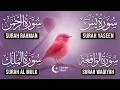Very Nice Voice Surah Yaseen | Surah Rahman | Surah Waqiah | Surah Mulk l Reciter Ashraf Hussain 041