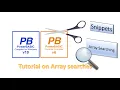 PowerBasic Snippets - Tutorial on Array Searches