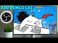 How To Add BONGO CAT to OBS