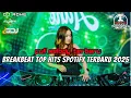 Download Lagu DJ BREAKBEAT TOP HITS SPOTIFY INDO TERBARU 2025