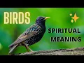 BIRDS SYMBOLISM - The Spiritual Meaning of Birds