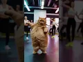Download Lagu dance cats#cat #funny #cover#cute