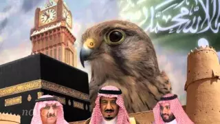 شيلة افرحي يادارنا دندنها