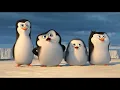 Download Lagu Pinguïns van Madagaskar - glorieuze toekomst