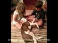 About the Petfinder Foundation