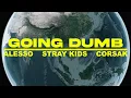 Download Lagu Alesso x Stray Kids x CORSAK - Going Dumb (Dance Around The World Video)