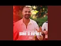 Download Lagu Banii si Averile (Remix)