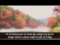 Download Lagu Recitim i mrekullueshëm - Qetëso zemrën me Kur'an!