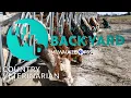 My Wisconsin Backyard Web Series Country Vet