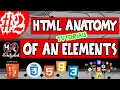 ANATOMY OF AN HTML ELEMENTS BASIC TO ADVANCE HTML CSS AND JS TUTORIALS LESSON 2 HEARTCODED