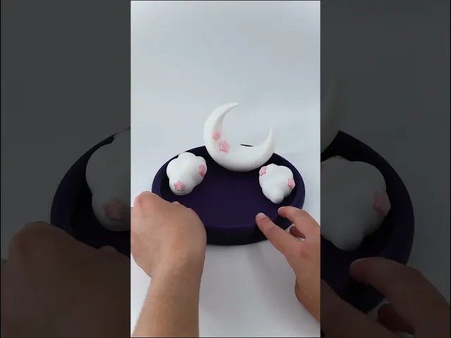 Moon Zen Garden video thumbnail