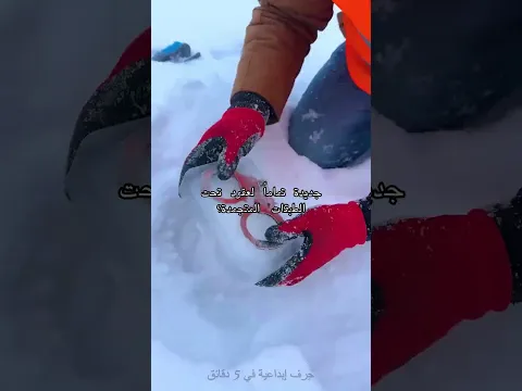 لقيت "كبسولة زمن" وسط الجليد! الأكسدة وقفت تماماً
