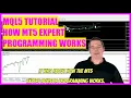MQL5 TUTORIAL - HOW MT5 EXPERT ADVISOR PROGRAMMING WORKS