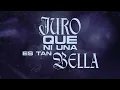 Neton Vega, Armenta - Loqueando (Lyric Video)