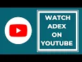 Overview of the ADEX Process with Testimonials from ADEX Nurses Corp2