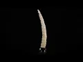 PIERRE KARLIK Carved Tusk on Igloo Base c early 1970s