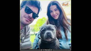 مهند بيعمل اعلانات بامبرز ونهال بتربي العيال وسمر اتحرمت من الخلفة أين اختفى أبطال العشق الممنوع 