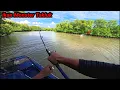 Download Lagu ini Dia Pertarungan Super Dahsyat Yg Di idamkan Para pemancing, ikan Monster Super Kuat