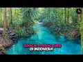 Download Lagu Sungai Paling Jernih di Indonesia Yang Tersembunyi di Hutan Papua