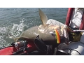 Download Lagu Trailer - Kayak Fishing - Nuno Morão