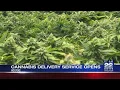 BlazeXpress in Holyoke opens marijuana delivery service