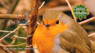أذكار الصباح بصوت من ذاكرة الزمن الجميل محمد الصبيحي دندنها