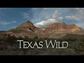 Download Lagu Texas Wild (1997) American W-VHS Tape From HD Vision (Wildlife Documentary, Analog HDTV)