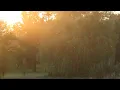 "Summer's End Waltz" MaSssuguMusic